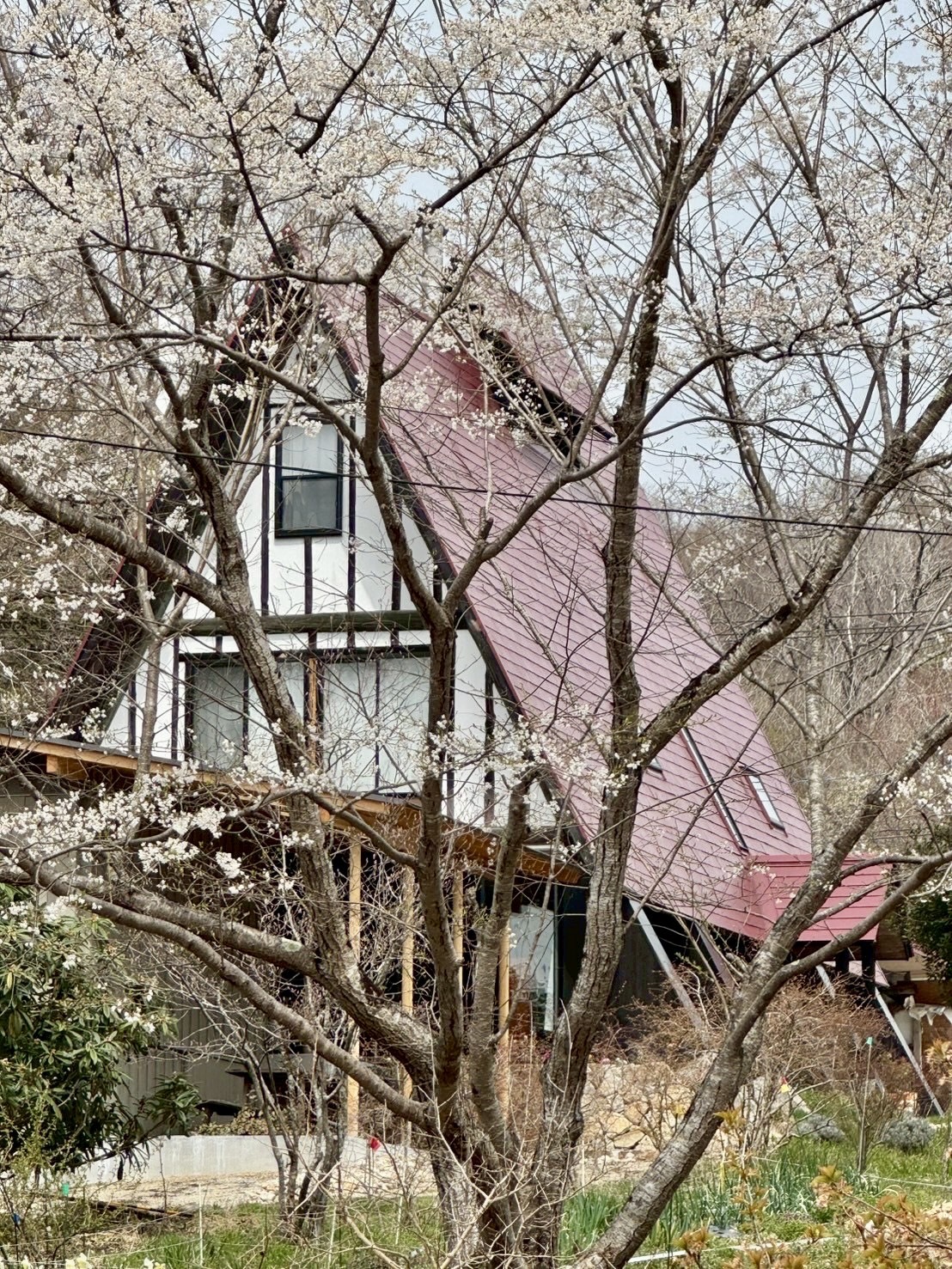 ひみつの遠足〜岡山 吉田牧場〜