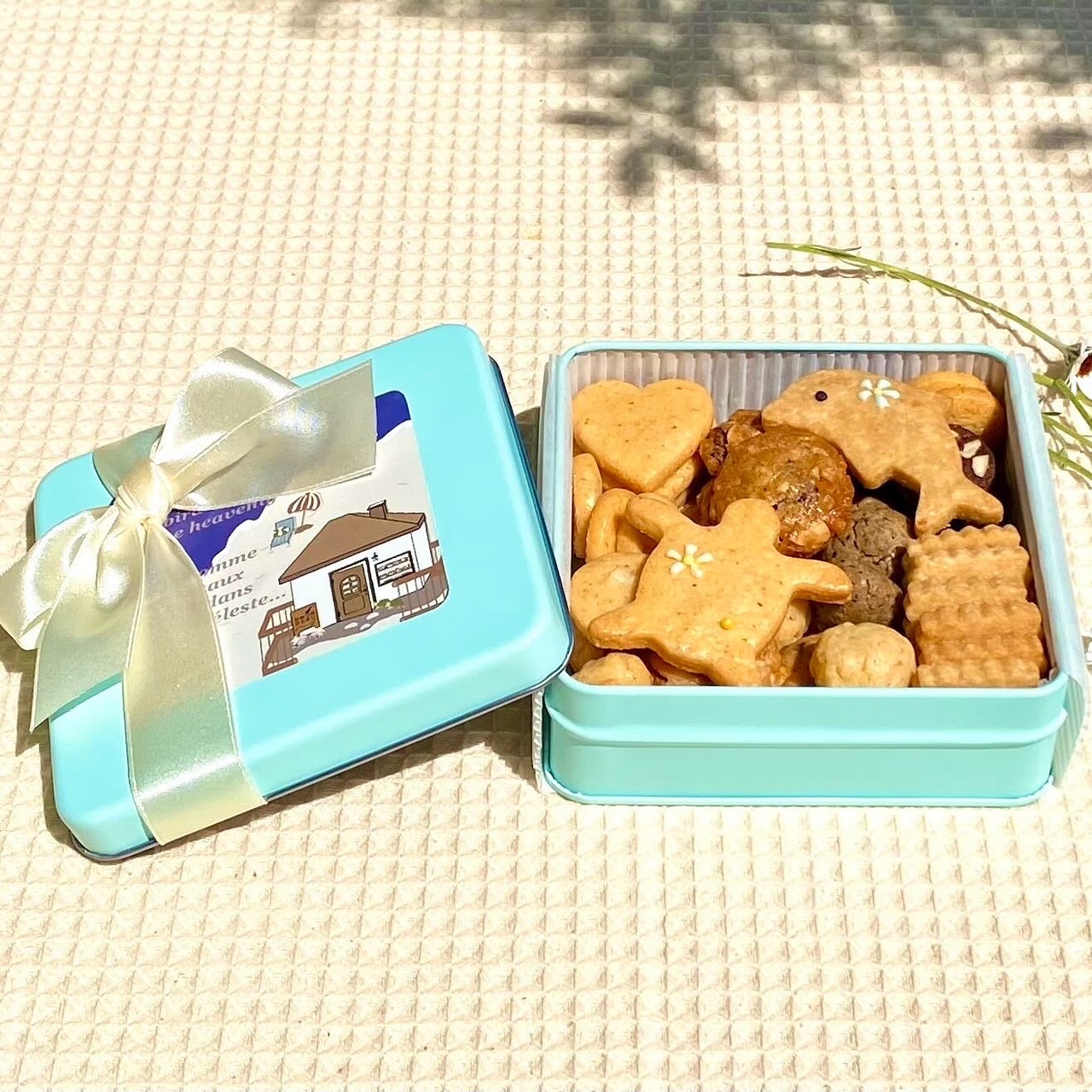 クッキー缶は【夏】