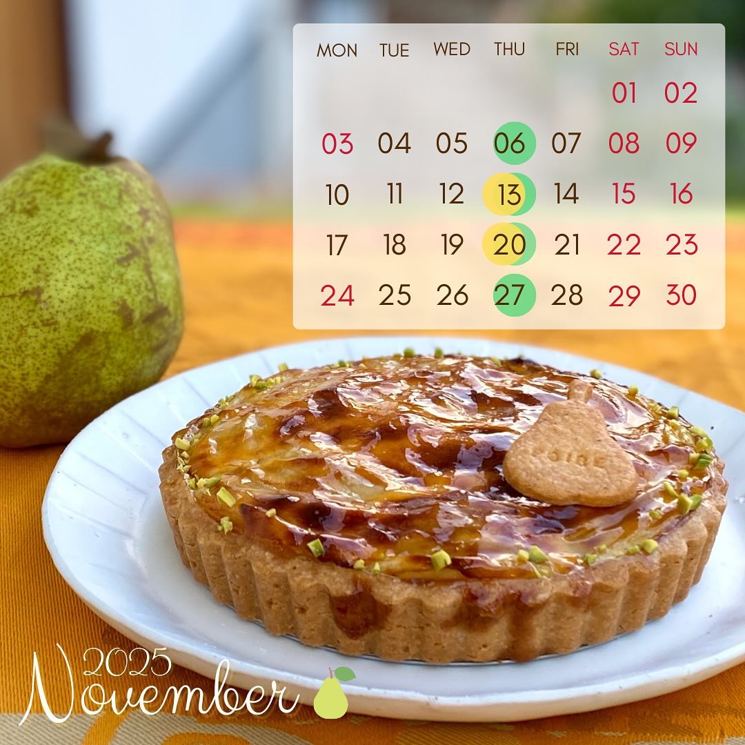 11月のお知らせ